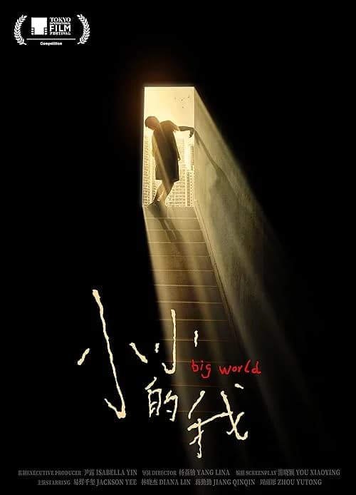 Big World film posteri